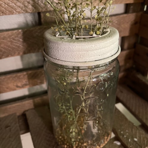 Pot Mason ☆ avec couvercle grillagé 14*7cm