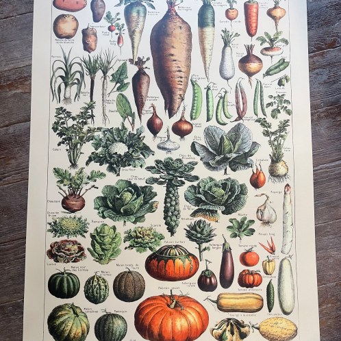 Affiche XXL ☆ Légumes anciens papier épais 50*70cm