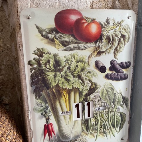 Plaque publicitaire ☆ calendrier Légumes 27,5*37cm