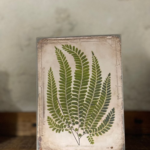 Bloc bois vintage ☆ Fougère Botanique 12*15cm