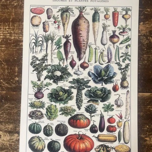 Plaque métal ☆ Légumes & Plantes Potagères 20*25cm